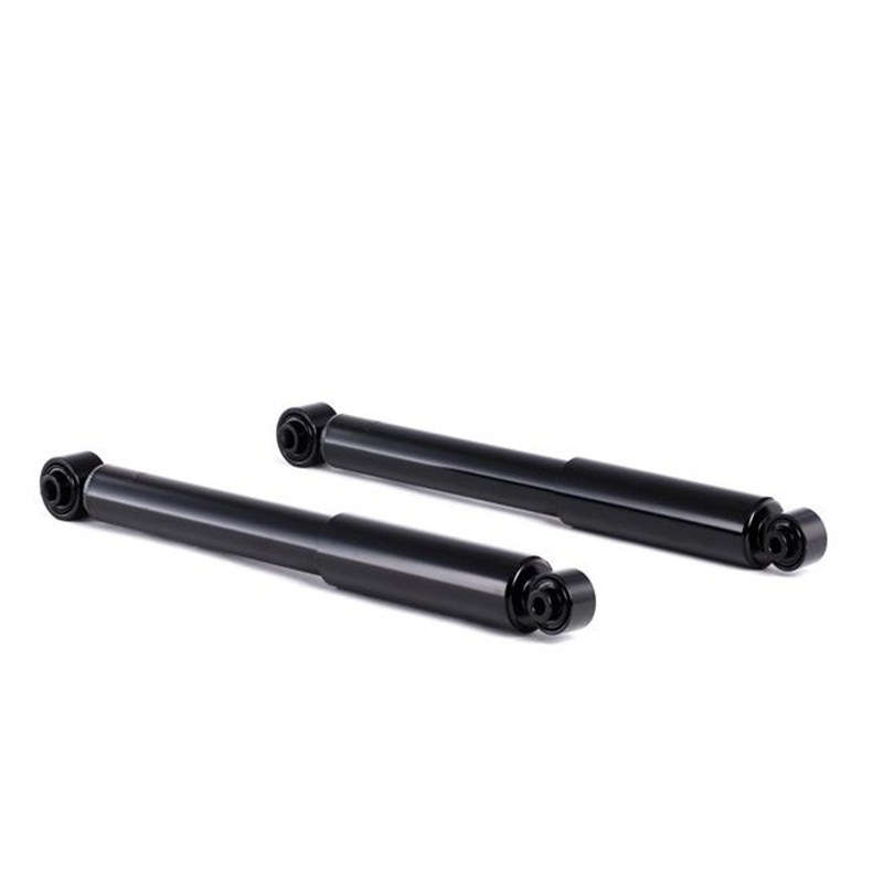 Peugeot 1007 AMORTIZER Zadnji